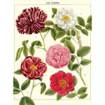 affiche vintage fleur