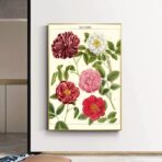 affiche vintage fleur
