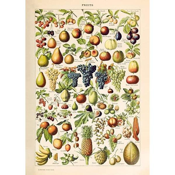 affiche-vintage-fruit affiche vintage fruit