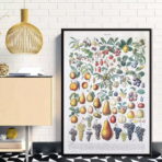 affiche vintage fruit