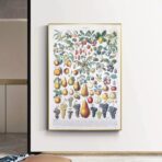 affiche vintage fruit