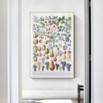affiche vintage fruit