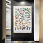 affiche vintage fruit