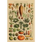 affiche vintage légumes