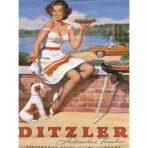 affiche vintage pin up
