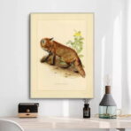 affiche vintage renard
