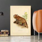 affiche vintage renard