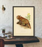 affiche vintage renard
