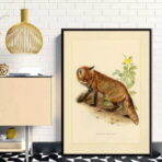 affiche vintage renard