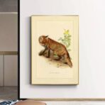 affiche vintage renard