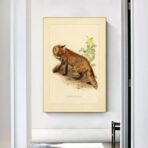 affiche vintage renard