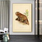 affiche vintage renard