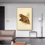affiche vintage renard