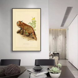 affiche vintage renard