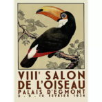affiche vintage toucan