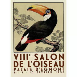 affiche vintage toucan