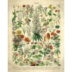 affiche fleurs vintage