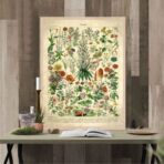 affiche vintage fleurs