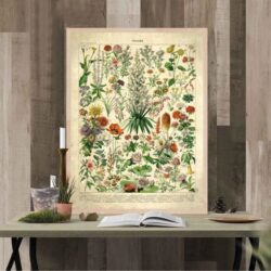 affiche vintage fleurs