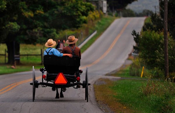 amish charette