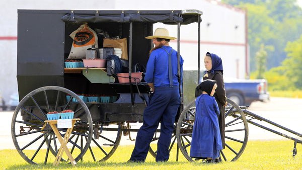amish mode de vie
