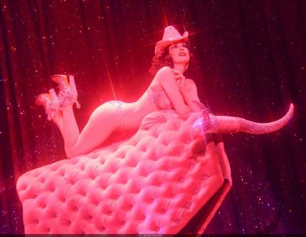 qui est dita von teese dita von teese rose