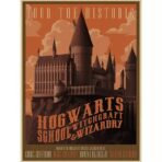 harry potter affiche vintage