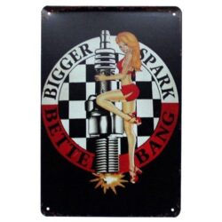 plaque pin up