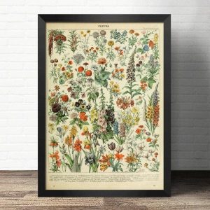 poster fleurs vintage
