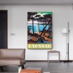 poster lacanau