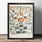 poster légumes vintage