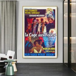 affiche la cache aux folles