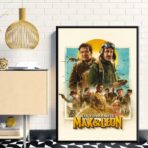 affiche la folle histoire de max et leon