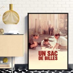 un sac de billes affiche