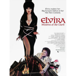 affiche elvira