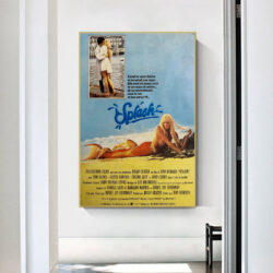 affiche splash