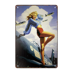 plaque métal pin up avec avion
